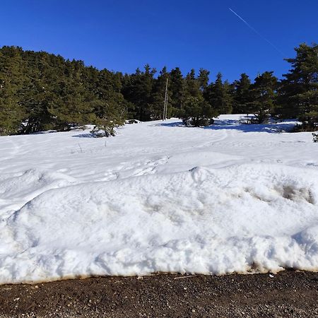 Appartement Greoliere Les Neiges Avec Exterieur جريوليريس المظهر الخارجي الصورة